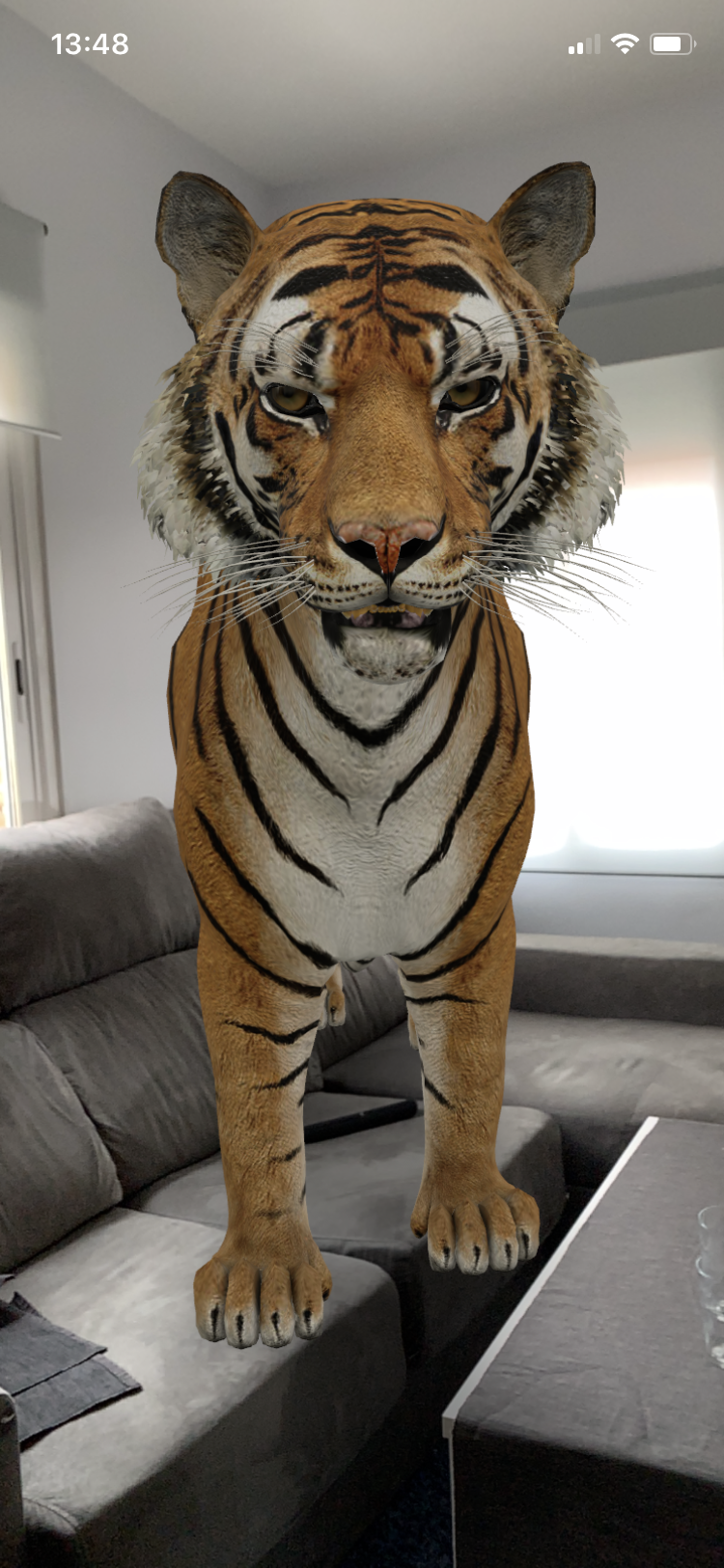 Tigre animal 3D de Google